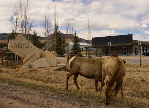 rocky_mountains_8_4_2011