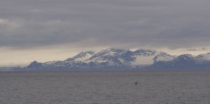 svalbard_2016