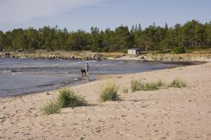 sweden_24_7_az_5_8_2014